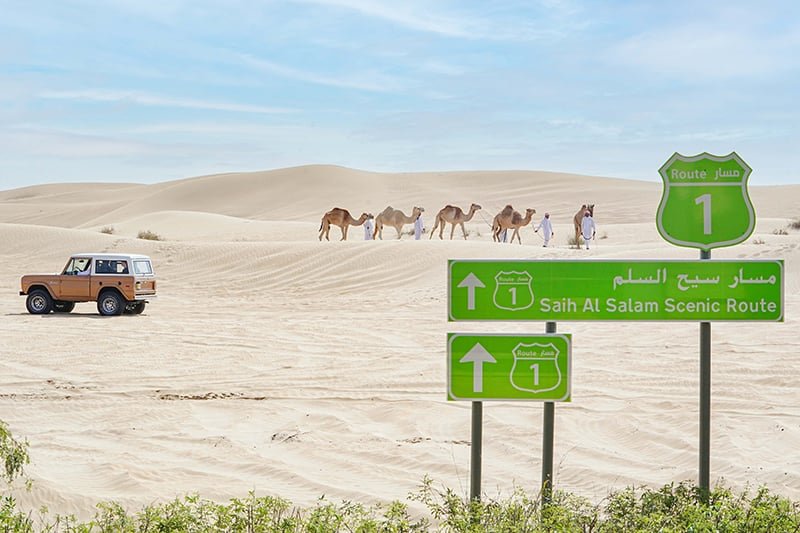 Saih-Al-Salam-Scenic-Route-UAE-Vibes-360