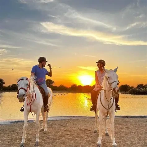 Two young men on a strong white horse near the lake in a golden sun-frame with a green tree background.