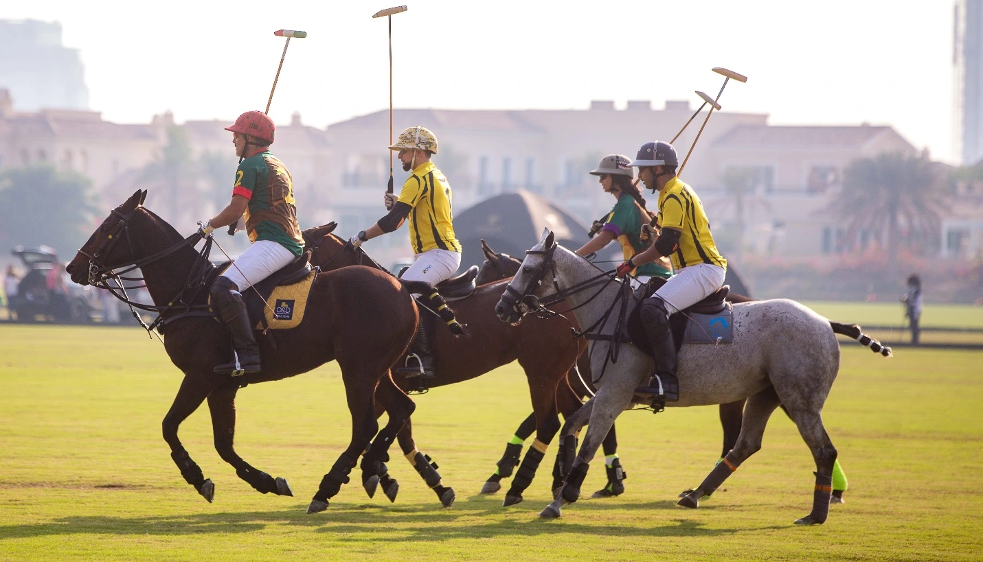 A group of young polo players riding on horses on Dubai polo club ground holding mallets and framed with palm trees background.