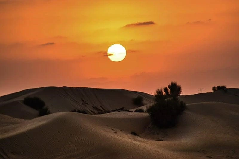 The sun setting over dunes with sparse vegetation, casting an orange glow across the sky and desert landscape